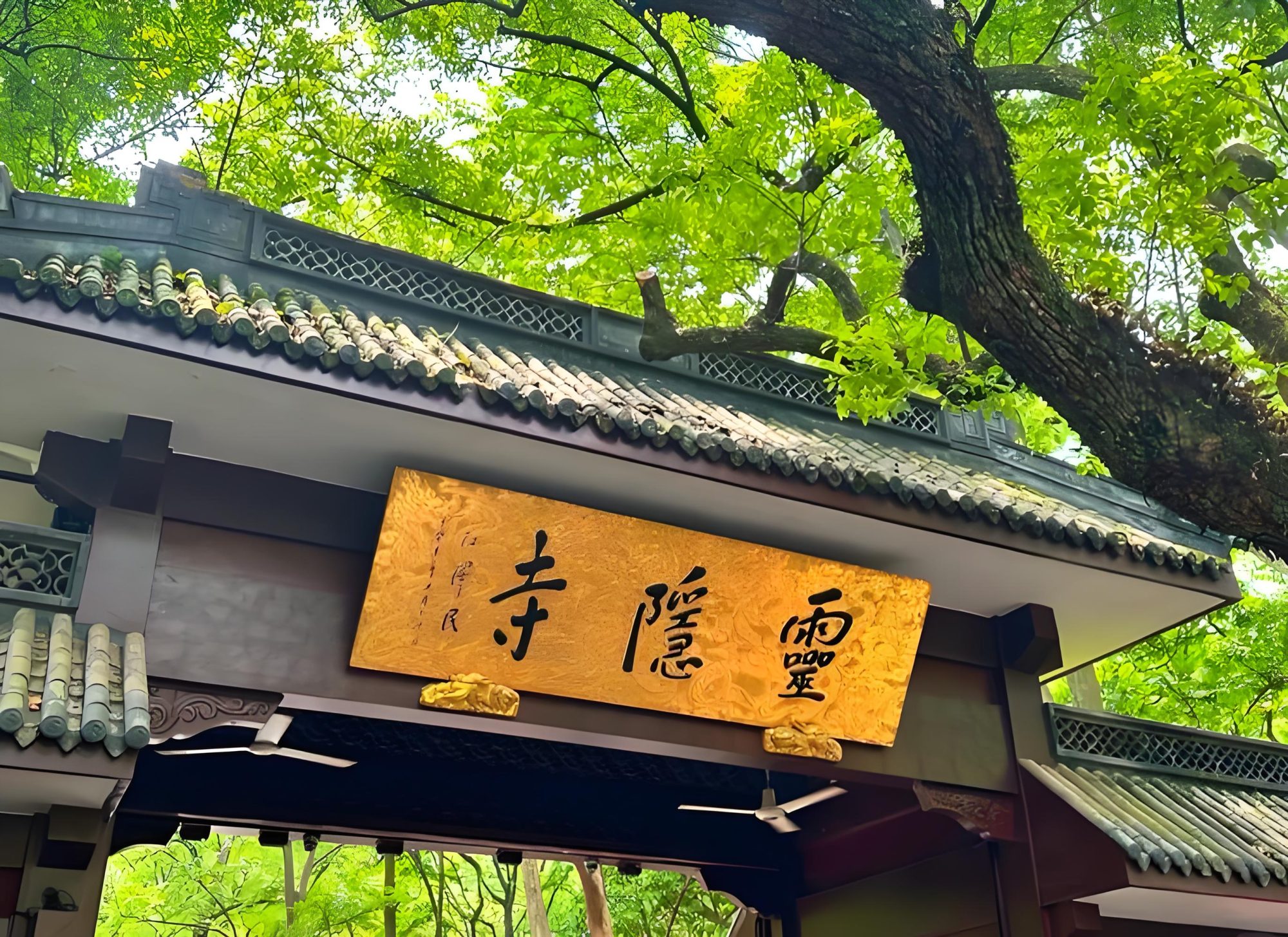 意识到众生皆苦之后，为什么快乐不起来？