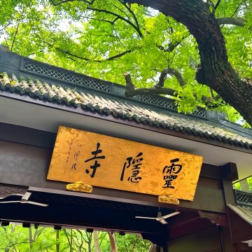 意识到众生皆苦之后，为什么快乐不起来？